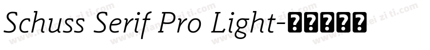 Schuss Serif Pro Light字体转换